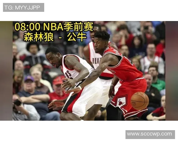 森林狼与公牛精彩对决回顾12月27日比赛录像全程回放