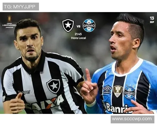 达伽马与博塔弗戈比赛前瞻及比分预测分析