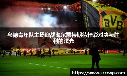 乌德青年队主场迎战海尔蒙特期待精彩对决与胜利的曙光